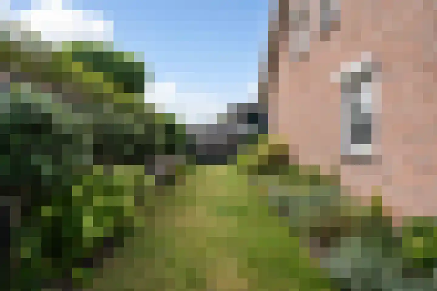 Ranonkelhof 2 Weert thumbnail 45