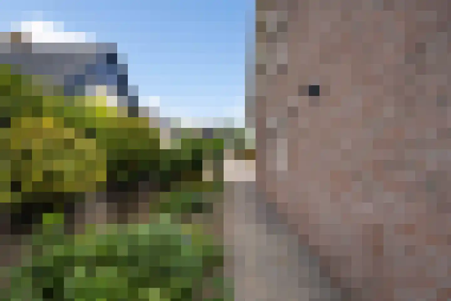 Ranonkelhof 2 Weert thumbnail 47