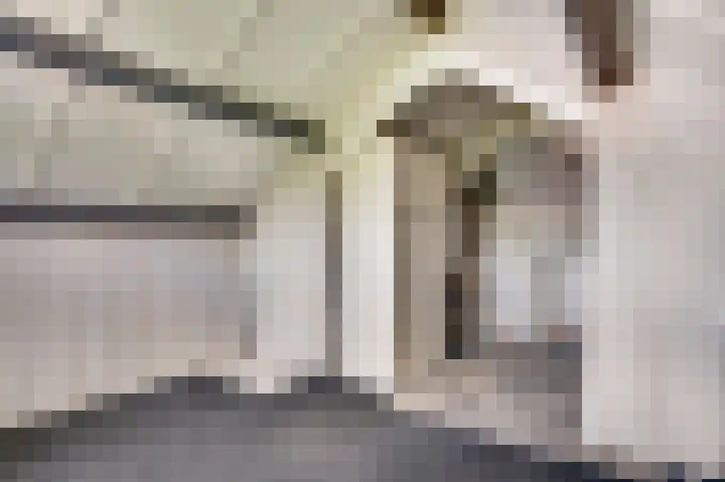 Ranonkelhof 7 Roermond thumbnail 29