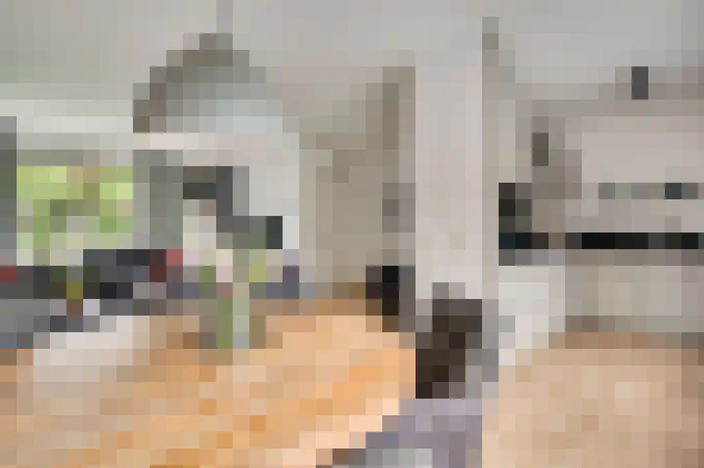Ranonkelhof 7 Roermond thumbnail 4