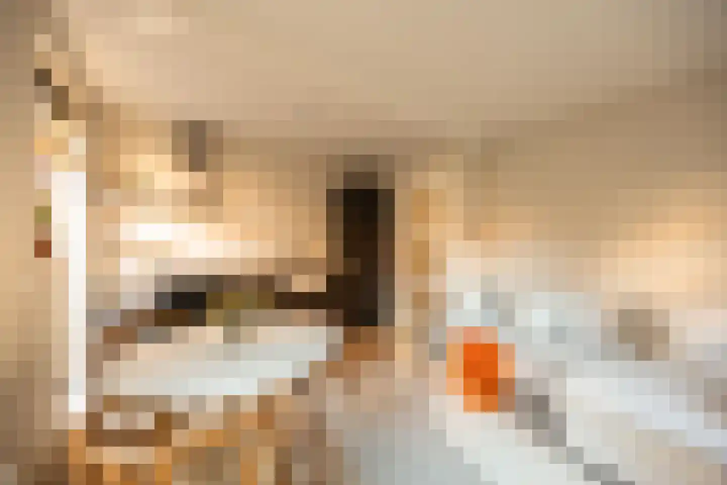 Ranonkelkade 5 B Amsterdam thumbnail 14