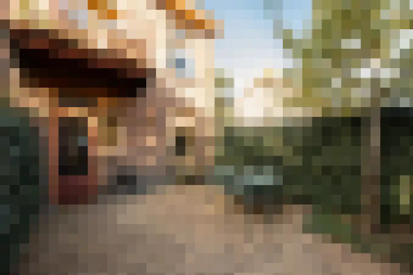 Ranonkelkade 5 B Amsterdam thumbnail 19