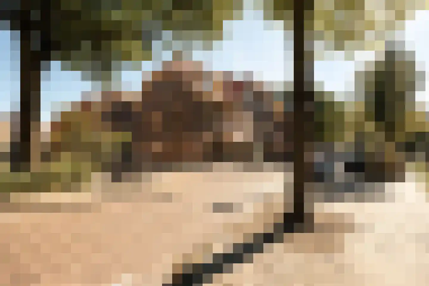 Ranonkelkade 5 B Amsterdam thumbnail 29