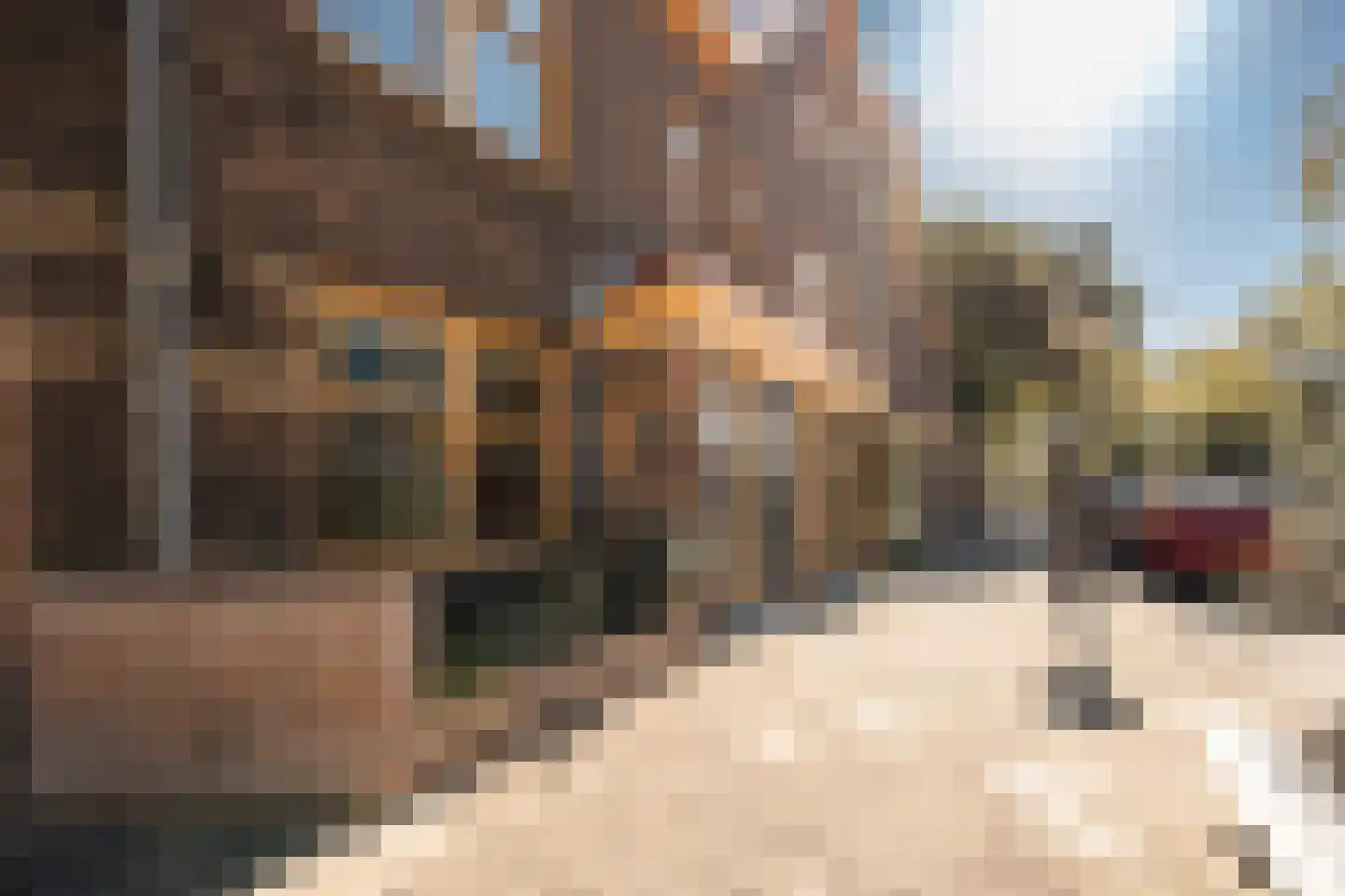 Ranonkelkade 5 B Amsterdam thumbnail 33