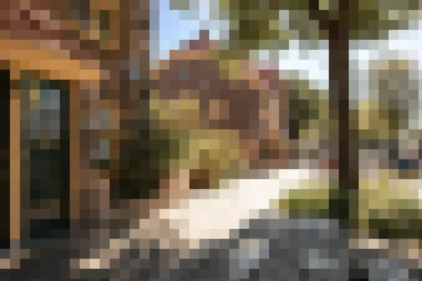 Ranonkelkade 5 B Amsterdam thumbnail 6