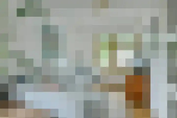 Ranonkelkade 6 B Amsterdam thumbnail 10