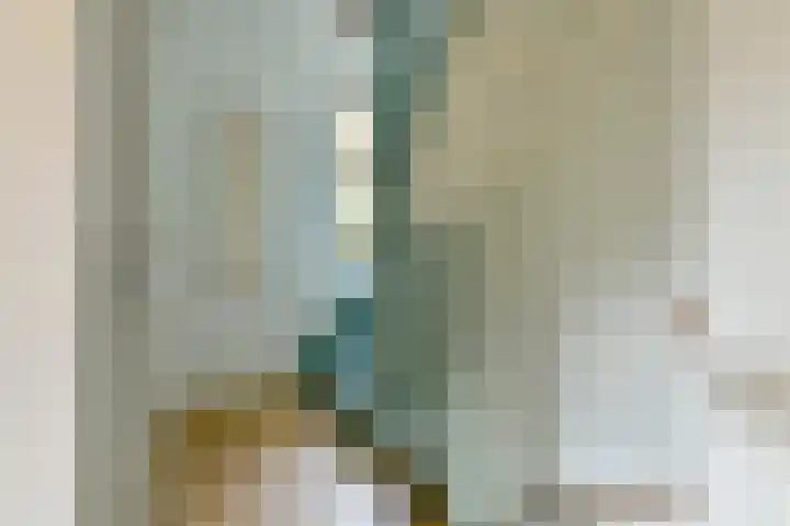 Ranonkelkade 6 B Amsterdam thumbnail 12