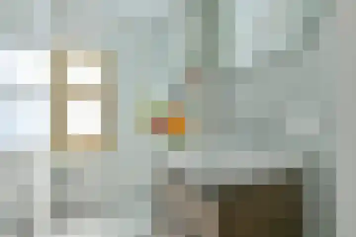 Ranonkelkade 6 B Amsterdam thumbnail 13