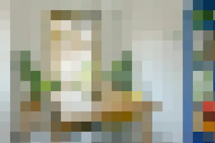 Ranonkelkade 6 B Amsterdam thumbnail 14