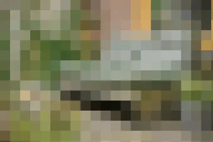 Ranonkelkade 6 B Amsterdam thumbnail 22