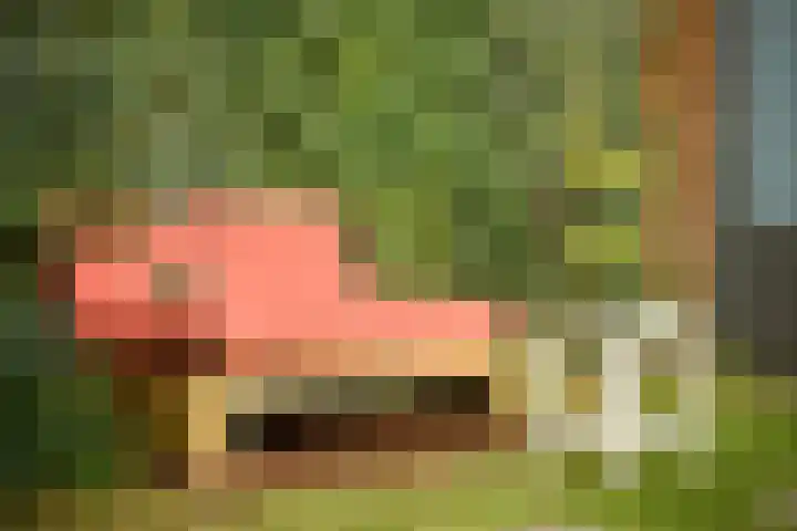 Ranonkelkade 6 B Amsterdam thumbnail 23