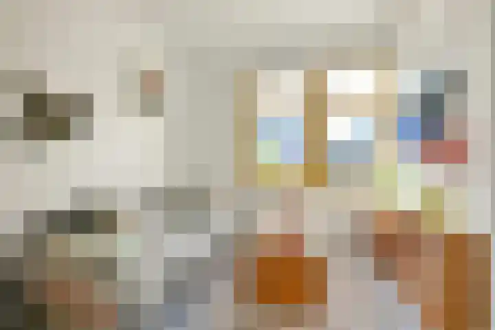 Ranonkelkade 6 B Amsterdam thumbnail 5