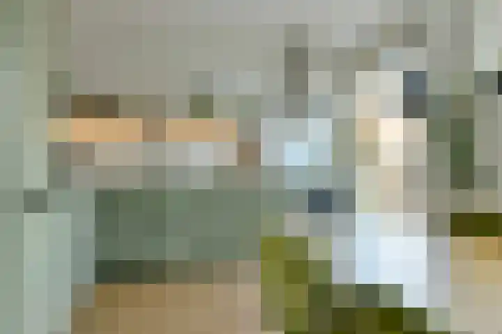Ranonkelkade 6 B Amsterdam thumbnail 5