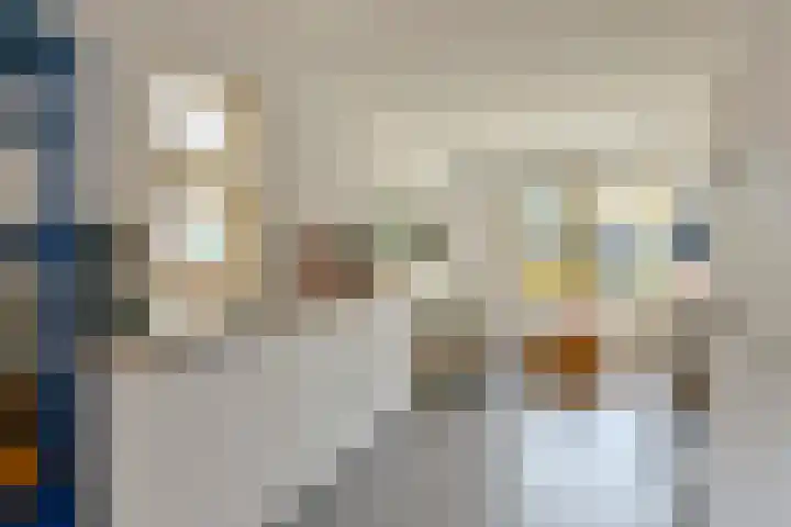 Ranonkelkade 6 B Amsterdam thumbnail 6