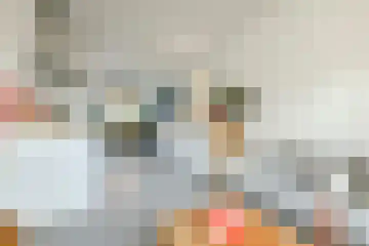 Ranonkelkade 6 B Amsterdam thumbnail 9