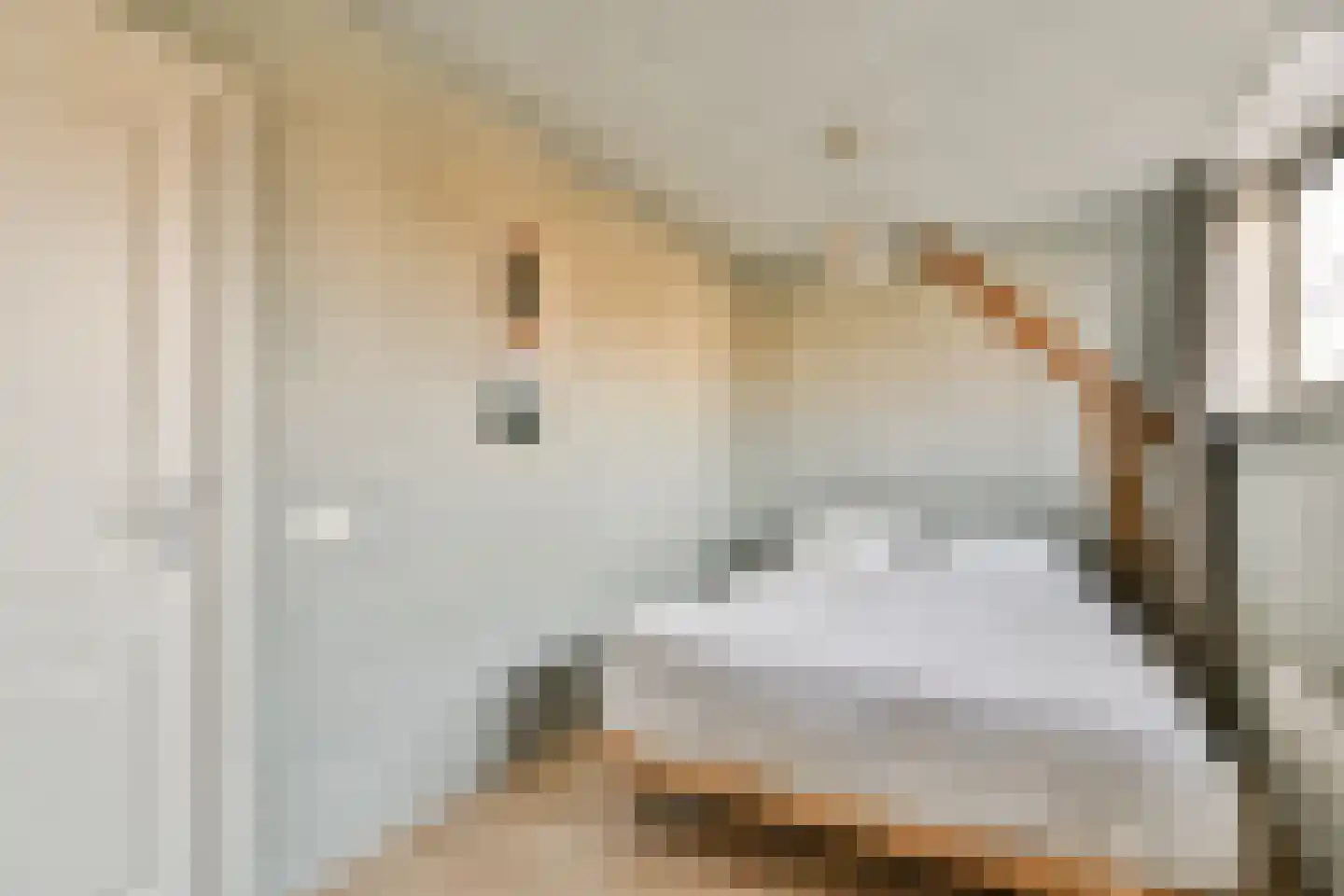 Ranonkelkade 72 Amsterdam thumbnail 14