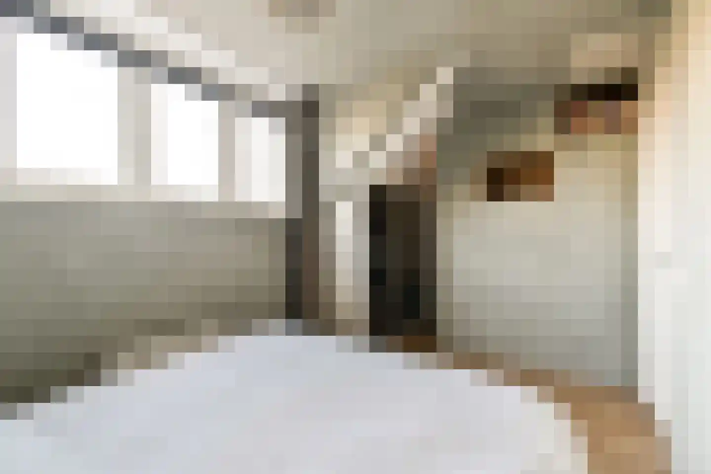 Ranonkelkade 72 Amsterdam thumbnail 15