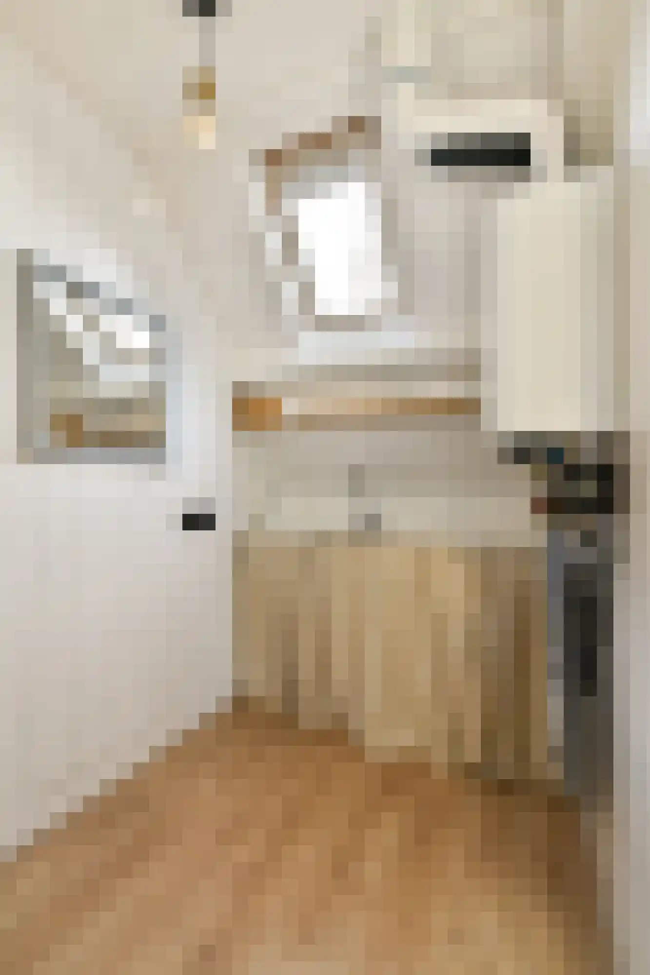 Ranonkelkade 72 Amsterdam thumbnail 16