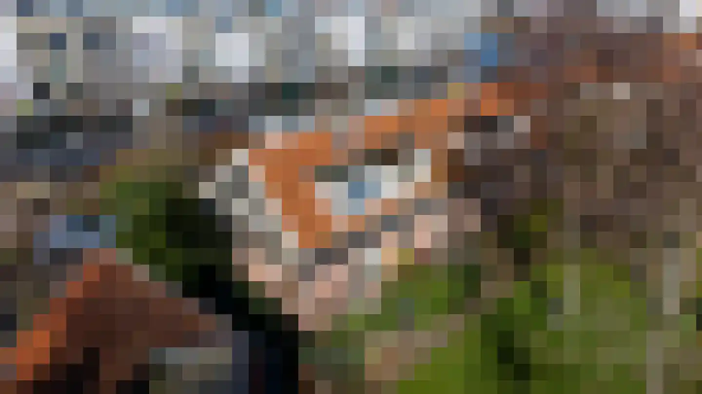 Ranonkelkade 72 Amsterdam thumbnail 21