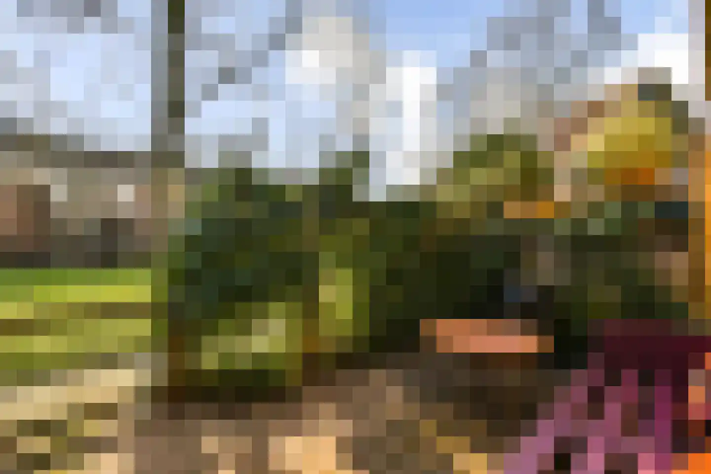 Ranonkelkade 72 Amsterdam thumbnail 23