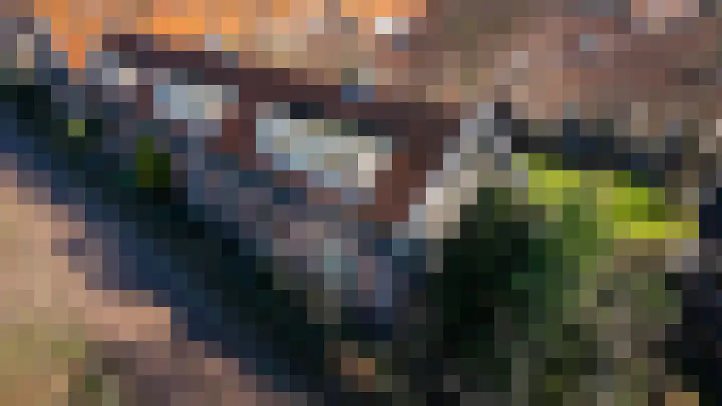 Ranonkelkade 72 Amsterdam thumbnail 26