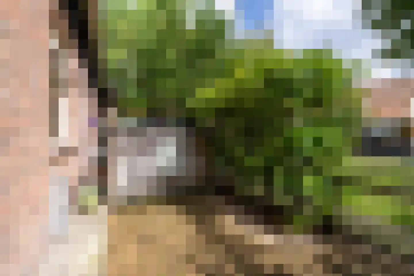 Ranonkelkade 73 Amsterdam thumbnail 15