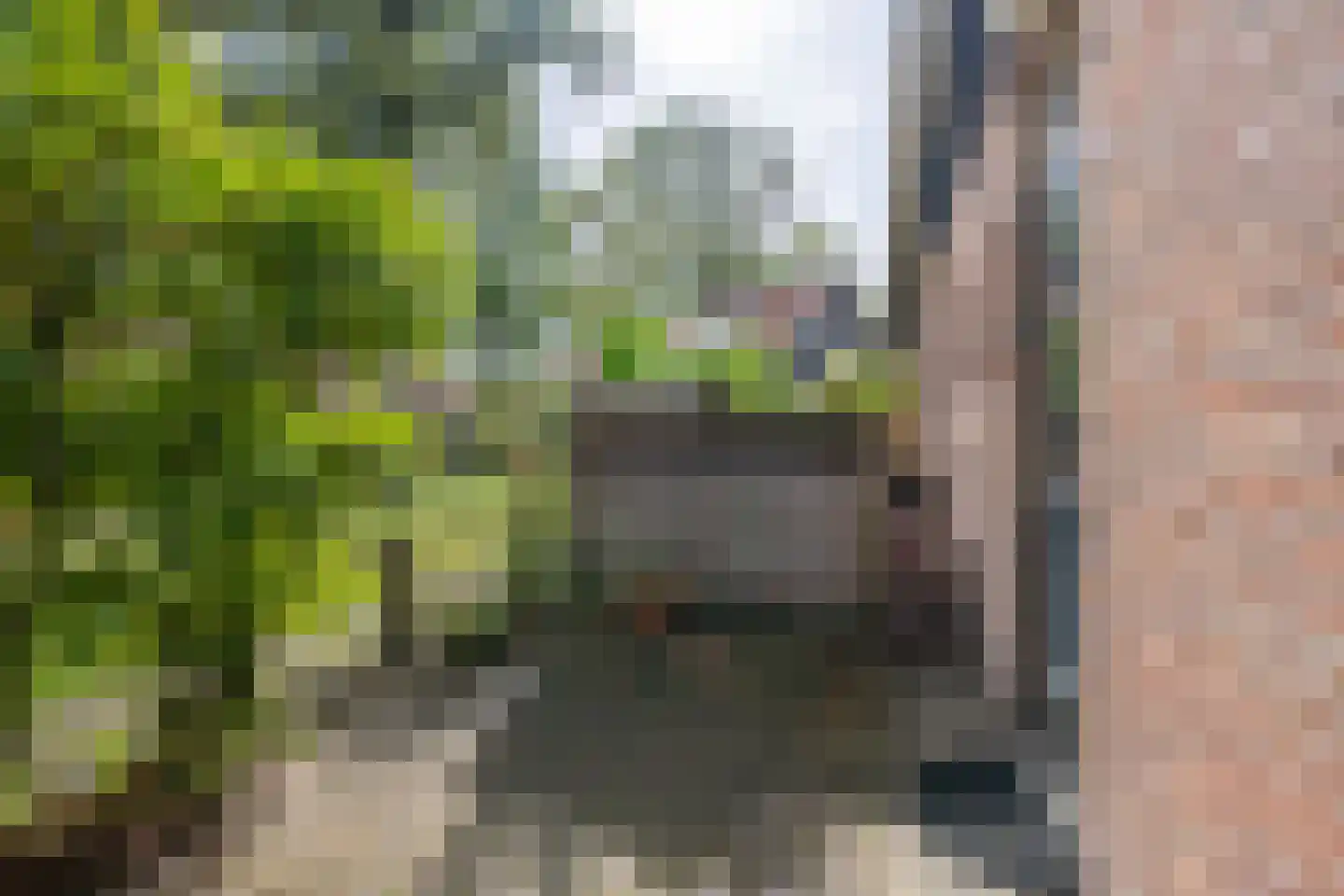 Ranonkelkade 73 Amsterdam thumbnail 16