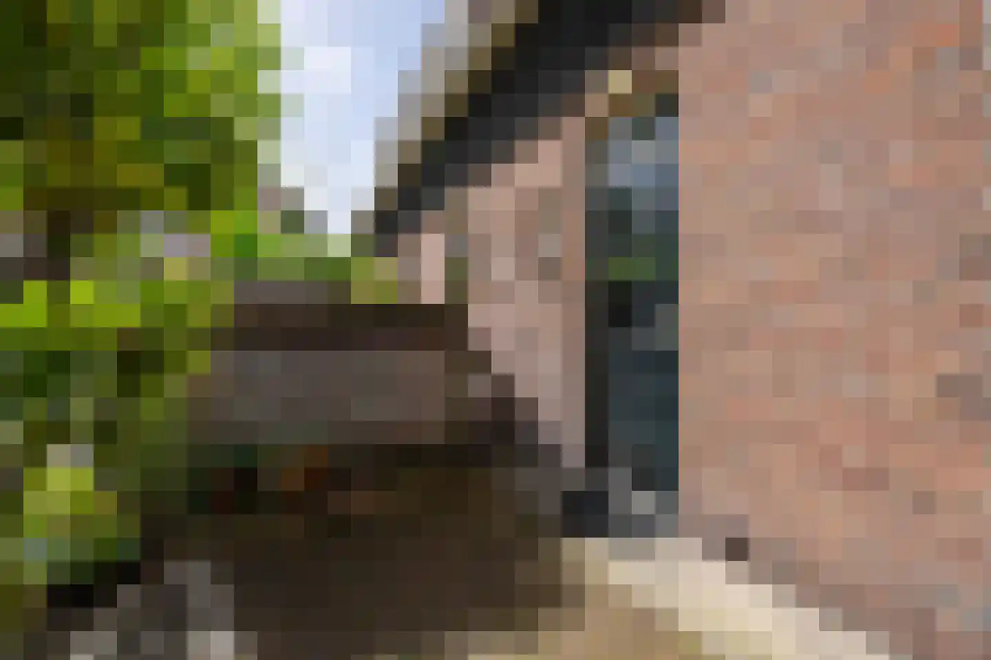 Ranonkelkade 73 Amsterdam thumbnail 17