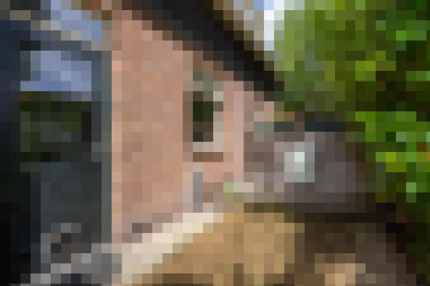 Ranonkelkade 73 Amsterdam thumbnail 18