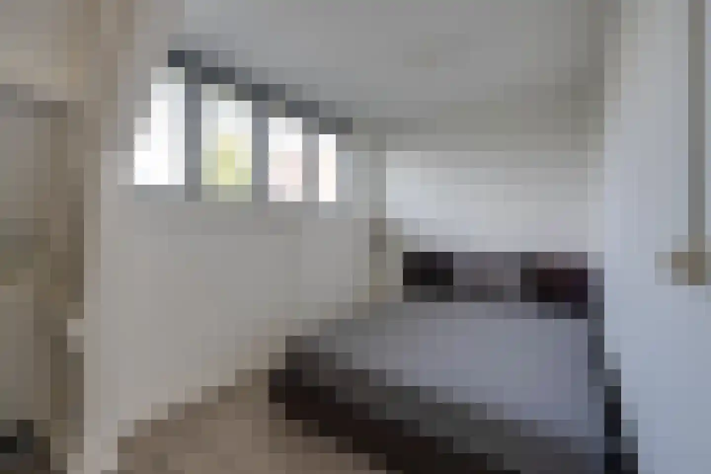 Ranonkelkade 73 Amsterdam thumbnail 25