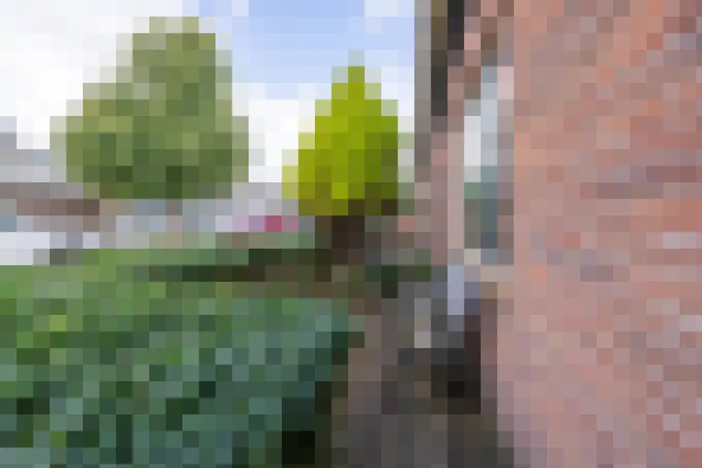 Ranonkelkade 73 Amsterdam thumbnail 28