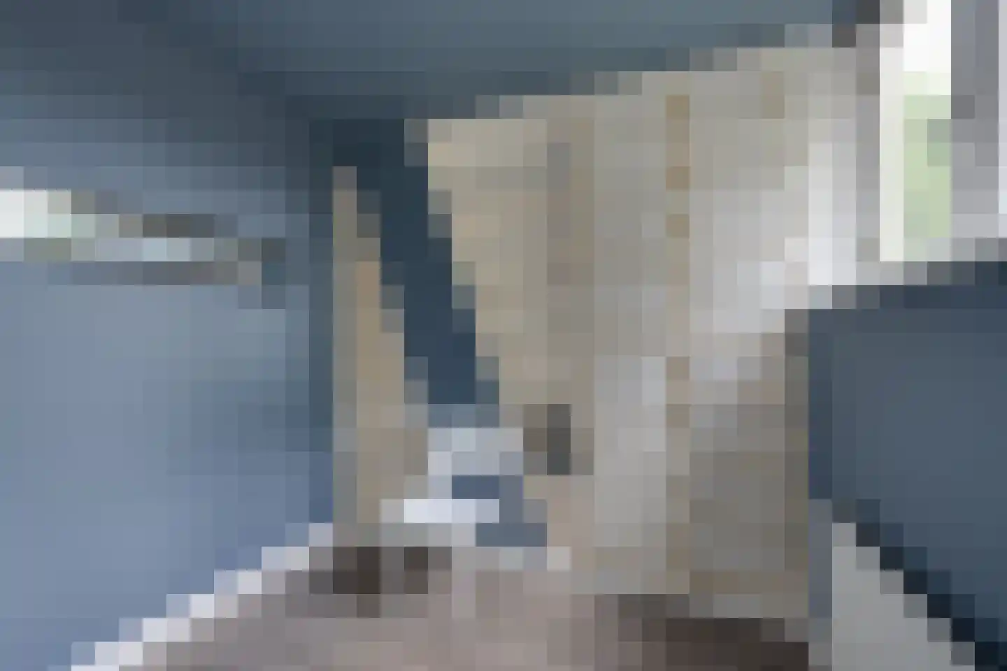 Ranonkelkade 73 Amsterdam thumbnail 33