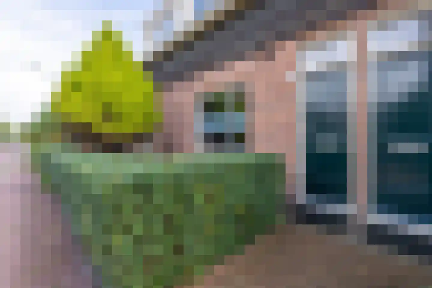 Ranonkelkade 73 Amsterdam thumbnail 44