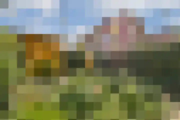 Ranonkelkade 8 A Amsterdam thumbnail 11