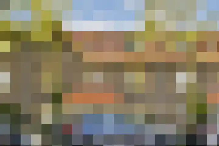 Ranonkelkade 8 A Amsterdam thumbnail 18