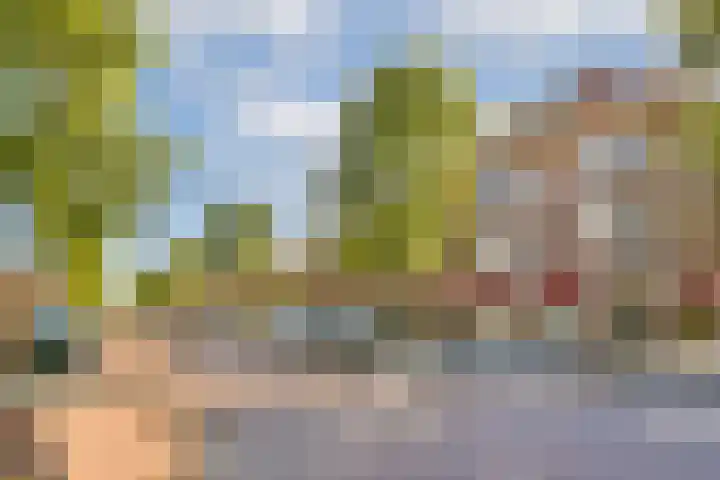 Ranonkelkade 8 A Amsterdam thumbnail 19