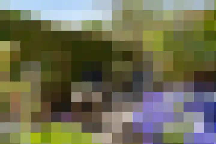Ranonkellaan 12 Krommenie thumbnail 17
