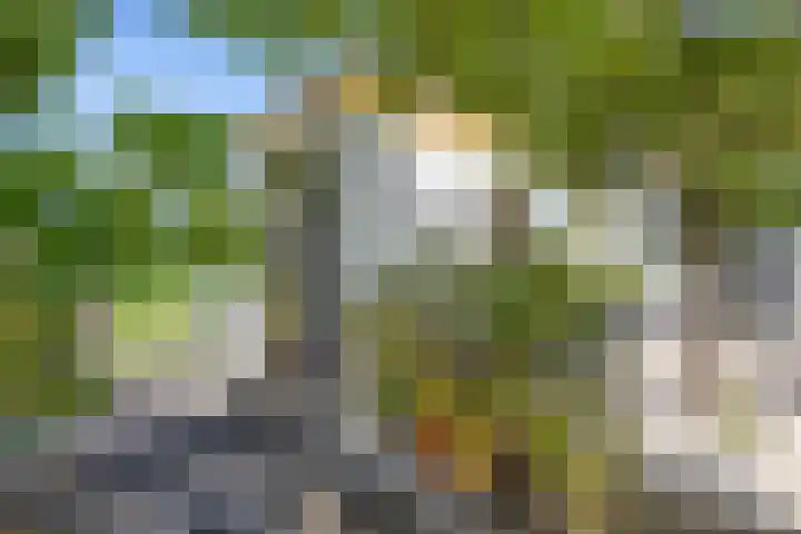 Ranonkellaan 12 Krommenie thumbnail 18