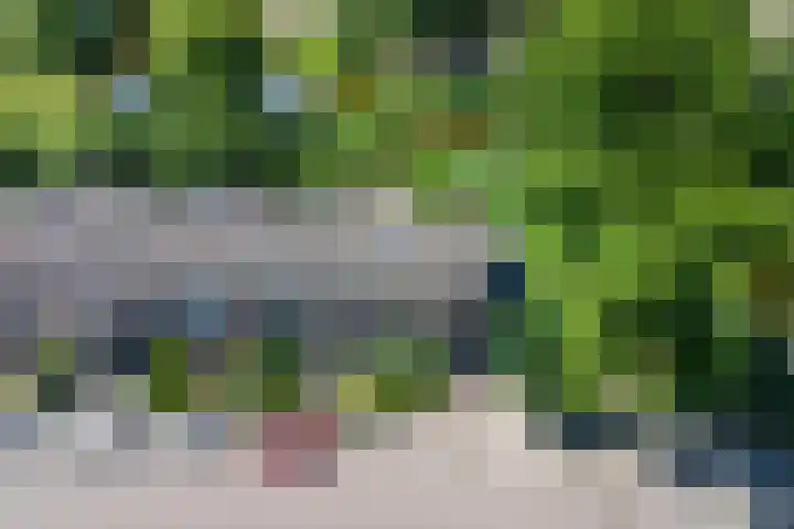 Ranonkellaan 12 Krommenie foto 2