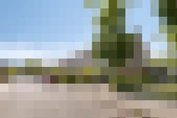 Ranonkellaan 12 Krommenie thumbnail 28