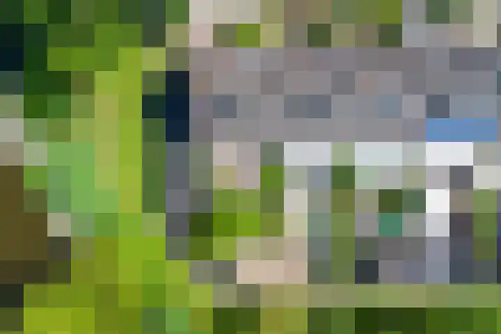 Ranonkellaan 12 Krommenie thumbnail 29