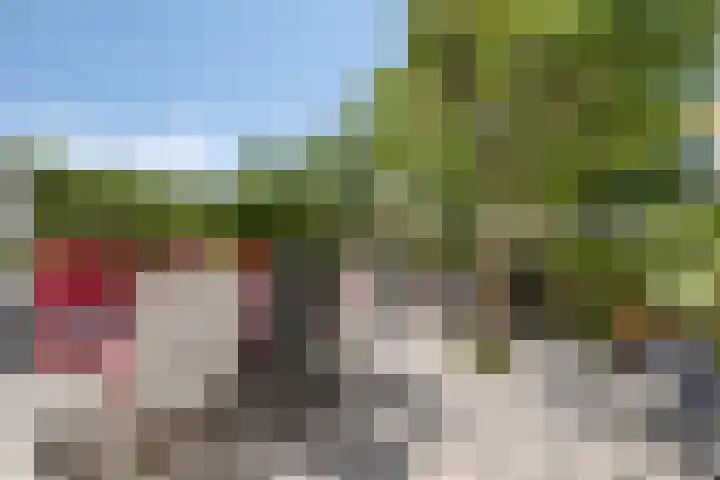 Ranonkellaan 12 Krommenie foto 3