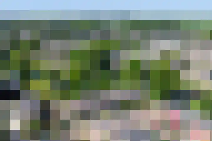 Ranonkellaan 12 Krommenie thumbnail 30