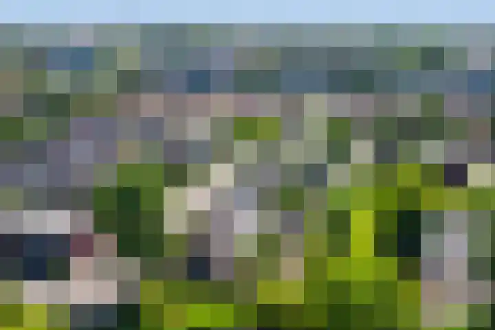 Ranonkellaan 12 Krommenie thumbnail 31