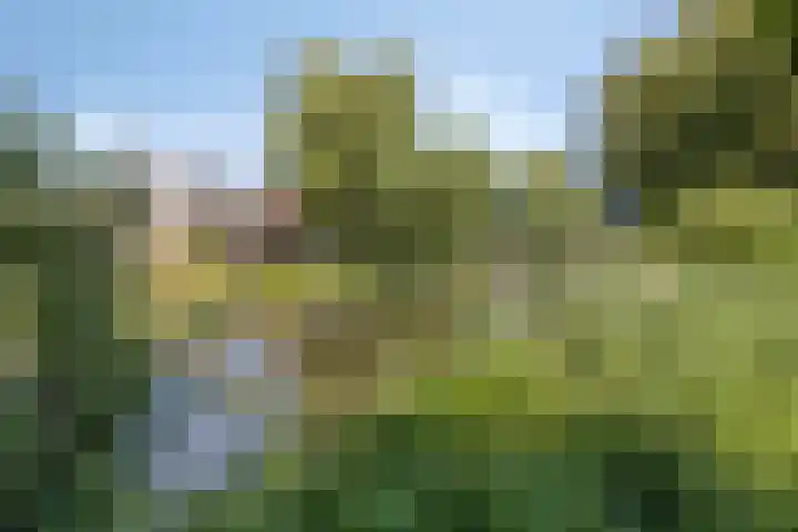 Ranonkellaan 12 Krommenie thumbnail 32