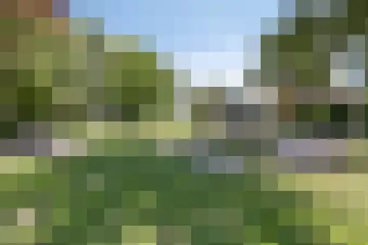 Ranonkellaan 12 Krommenie thumbnail 33