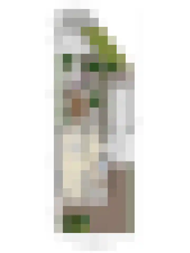 Ranonkellaan 12 Krommenie thumbnail 34