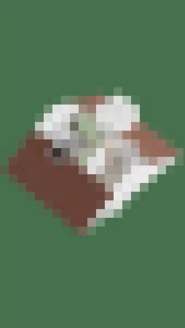 Ranonkellaan 12 Krommenie thumbnail 41