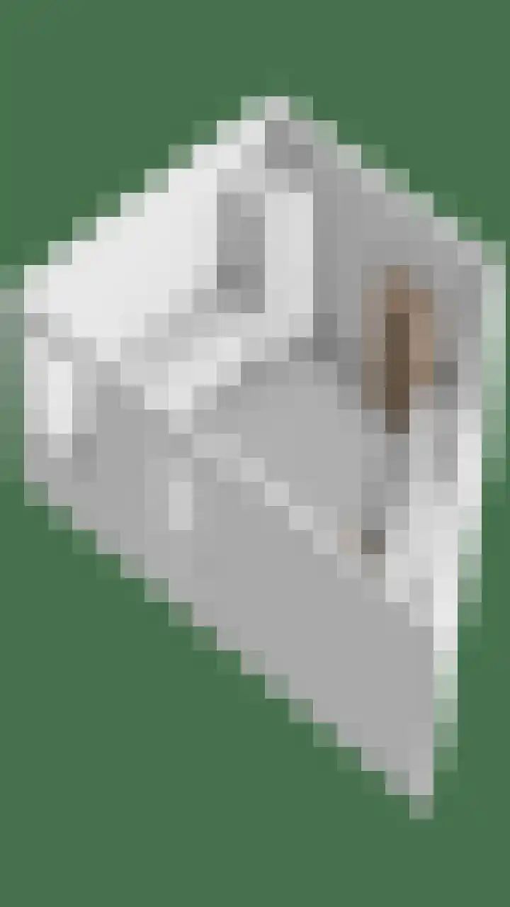 Ranonkellaan 12 Krommenie thumbnail 43