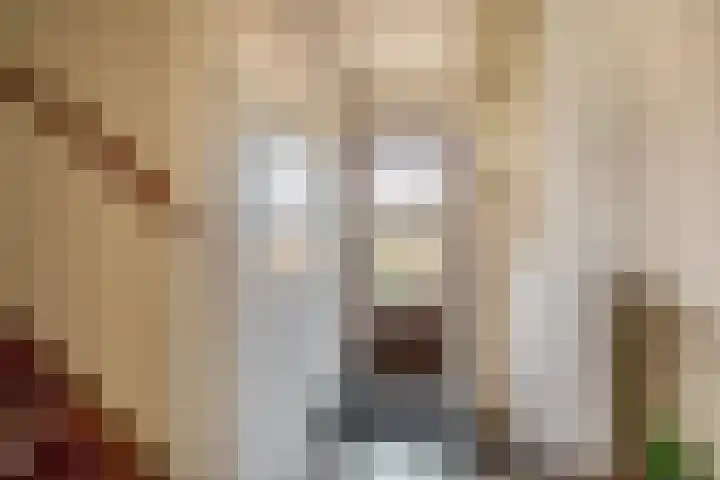 Ranonkellaan 14 Krommenie thumbnail 12